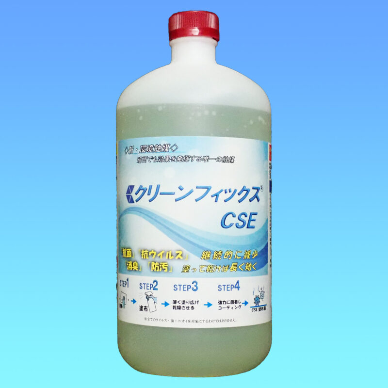 clean_fix_cse